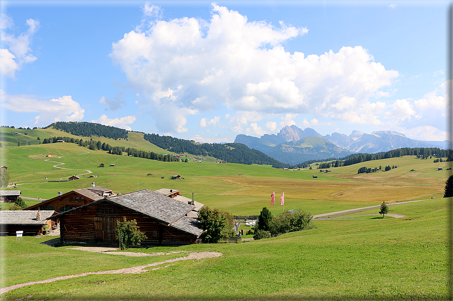 foto Alpe di Siusi